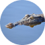 alligator
